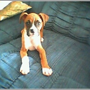 Meet Artie!!!