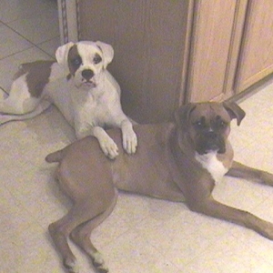 Still Chillin