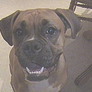 Aren't I pretty?