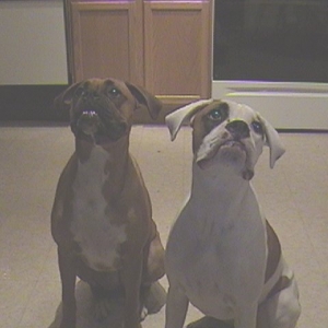 Posing for Mommy