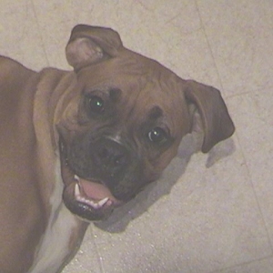 Laughing