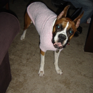 pinksweater1