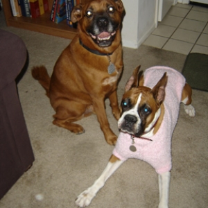 pinksweater2