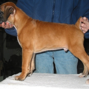 Introducing Ishie