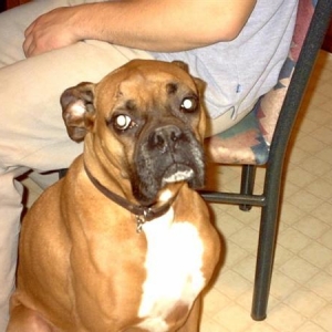 Pippi girl (Jan 28 1998 - Jun 13 2005)