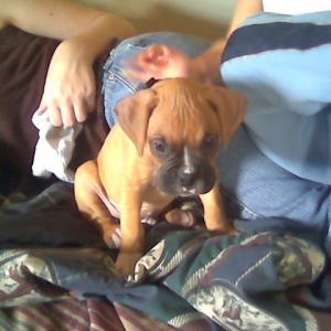 Playin