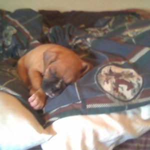 Passed out