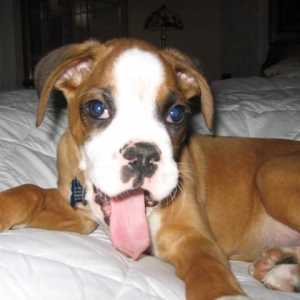 Dad, your boring me.