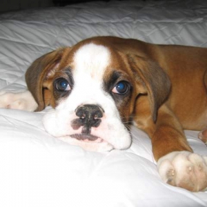 Quit waking me up!