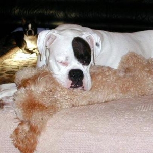 Wallace & Annie