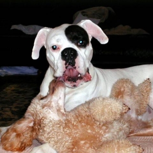 Wallace & his little buddy Annie