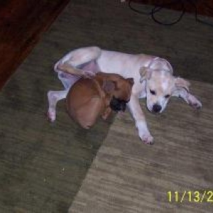 Lacey and Sandie