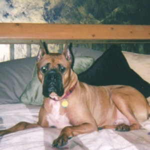 Handsome Sam