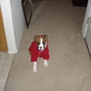 Bella in her new fleece