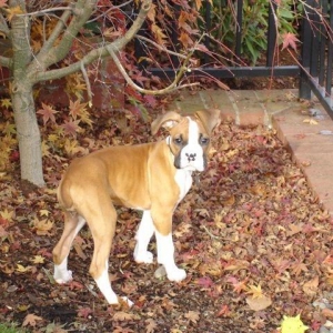 Looking Mischevious...