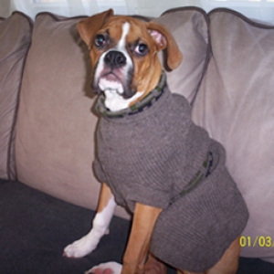 Do you like my 'Cosby Sweater'?