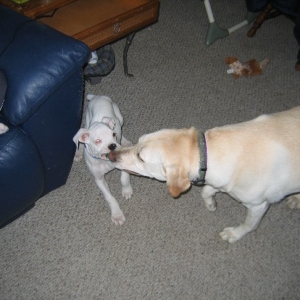 Tatum and Zoey