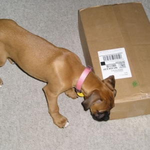 Yippy a package for me