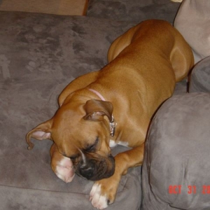 Sooo Tired
