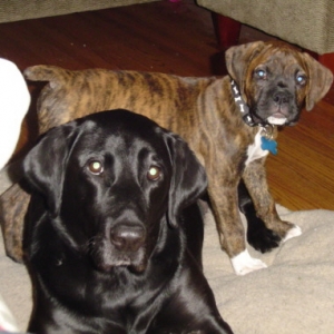 buddies 4 life!