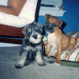 chance and wilson