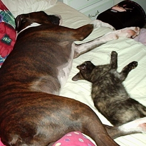 Toby and Meme