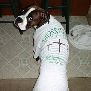 Toby in his shirt