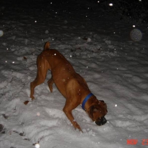 Snow tastes good!