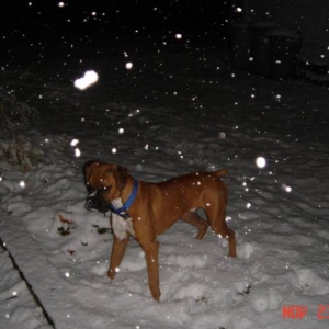 First time in the snow.