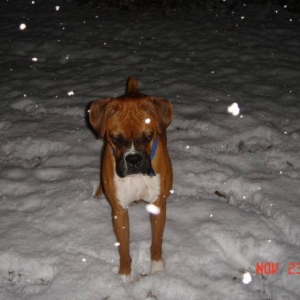 What is this white stuff?
