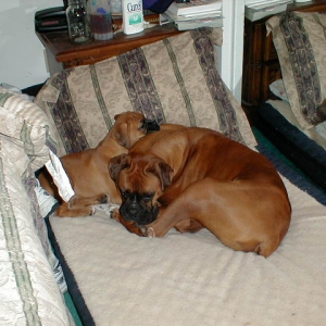 Kaine & Zoey