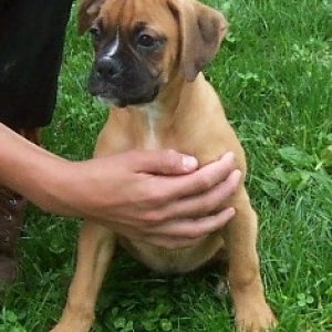Zoey