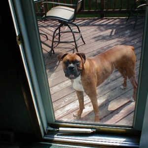 Can I Come In?