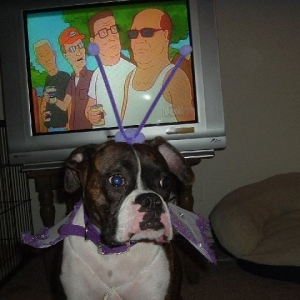 Dojas 1st Halloween Costume