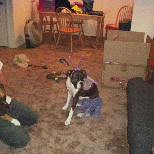 She hated every minute of it!