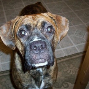 Im ready for my closeup!