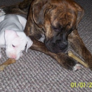 Sharing Space.