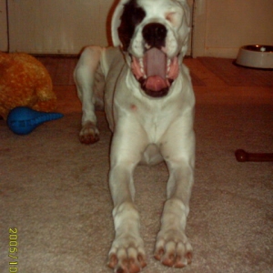Big Yawn!