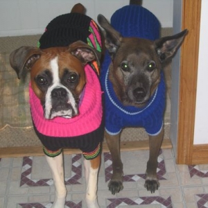 Newsweaters