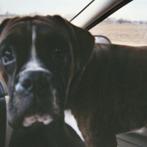 Just cruisin' around