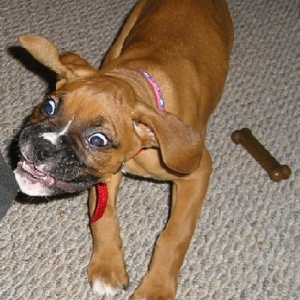 Crazy Zoey!