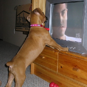 Watching CSI!!!