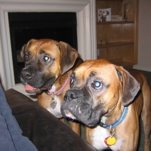 Look Who's Getting Along!