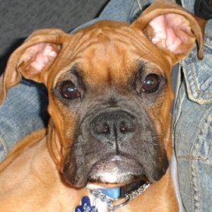 Oscar