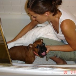 First_bath_-_yeah_