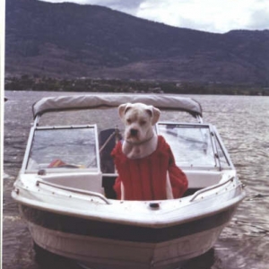 Oscar in the boat