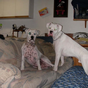 Oscar & Petie