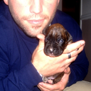New addition