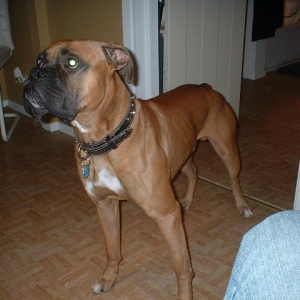 Imma big boy!