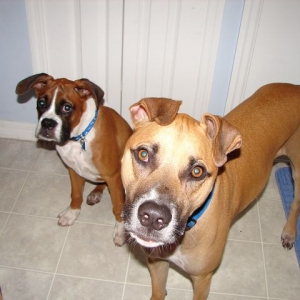 Brady and Kahne